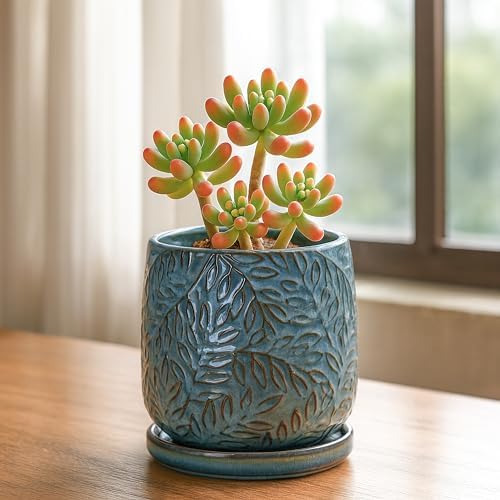 D'vine Dev Embossed Leaves Ceramic Planter, 4 in, Ocean Teal, 27-A-Z-8 - Image 5