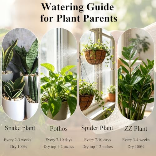 Glass Plant Mister Spray Bottle Vintage Refill Leak Proof Watering Can 8oz - Image 6