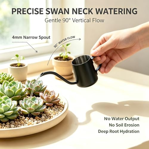 Mini Stainless Steel Watering Can (250ml) - 4mm Swan Neck Spout Small Watering Pot with Internal Scale & PTFE Coating - Gooseneck Kettle for Indoor Plants, Succulents & Pour-Over Coffee - Image 2