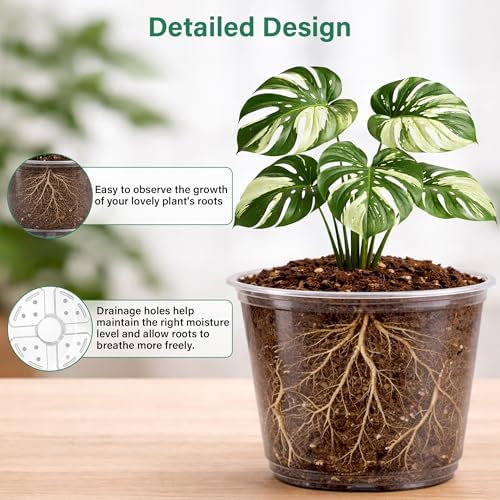 Bluepro Clear Nursery Pots with Drainage Holes, 5/6/8/10 Inch, 16-Pack - Image 3