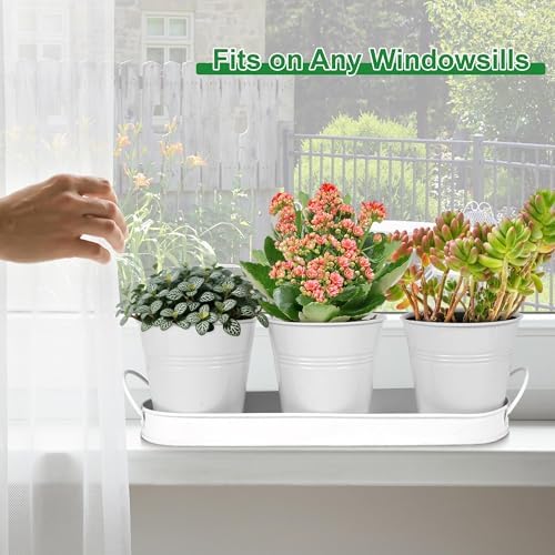 Herb Garden Planter Indoor Kit – 6 Metal Pots with 2 Trays for Windowsill & Kitchen Counter – Modern Decorative Indoor Planters for Herbs, Succulents & Small Plants, White - Image 4