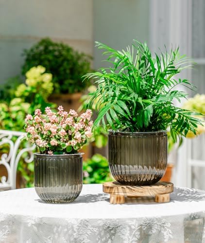 Melphoe Self Watering Pots for Indoor Plants Planter, 6.5/5.3 Inch 2 Pack Planters Self Watering Plant Pots for Flower, Houseplants, Succulent, African Violets and Cactus with Drainage - Image 3