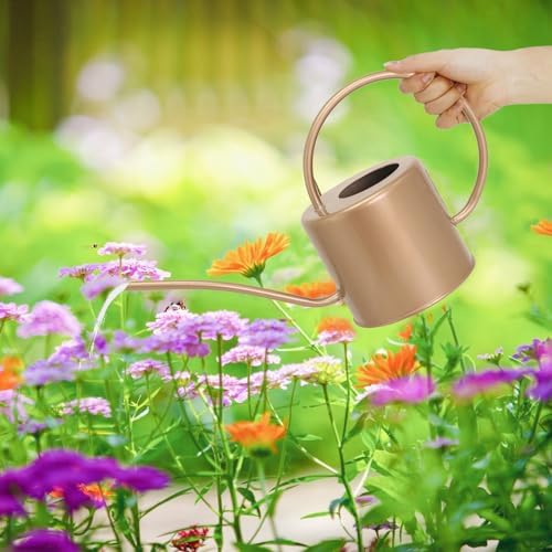 Indoor Watering Can for Houseplants- Long Spout Metal Watering Can for Indoor Plants,Succulents or Outdoor Garden Flower, 1.7L / 40 oz Gold - Image 5