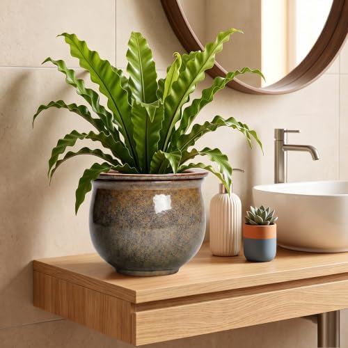 Ceramic Self Watering Pots, 8 Inch Ceramic Planter, Yellowish Brown - Image 6