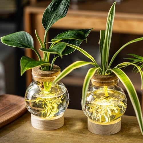 Propagation Stations, Plant Propagation Station with Light Base, Glass Propagation Vases, Hydroponic Vase for Plants, Glass Terrarium for Home Office Windowsill Tabletop Decoration (7) - Image 3