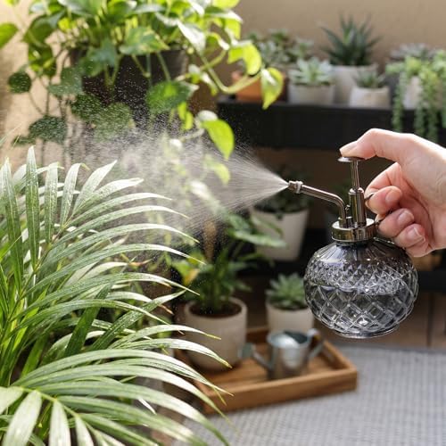 OFFIDIX Plant Mister Glass Spray Bottle Gray, Vintage Small Misters10 OZ - Image 3