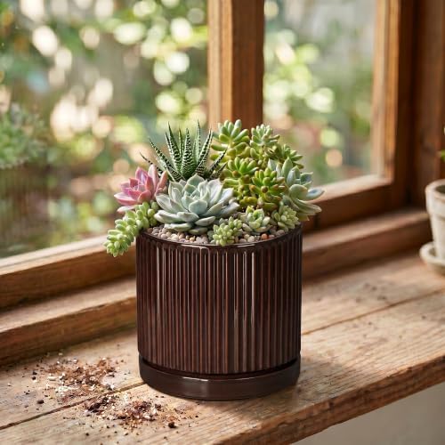 Succulent Pots 4 Inch, Ceramic Plant Pots, Round Planter, Brown - Image 3