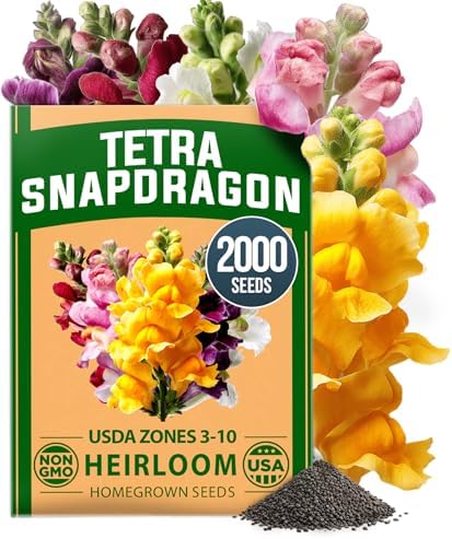 HOME GROWN Snapdragon Seeds, Tetra, 2,000 Seeds, Antirrhinum majus by HOMEGROWN