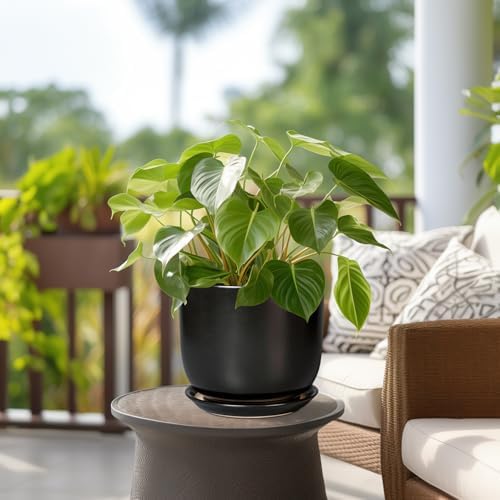 Ceramic Flower Pot 8 Inch - Modern Round Planter for Indoor Outdoor Plants with Drainage Hole and Saucer, Home House Room Office Patio Decor, Black - Image 4