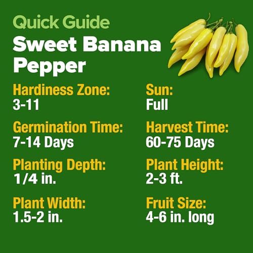 HOME GROWN Banana Pepper Seeds, 94+ Seeds, Capsicum annuum - Image 6