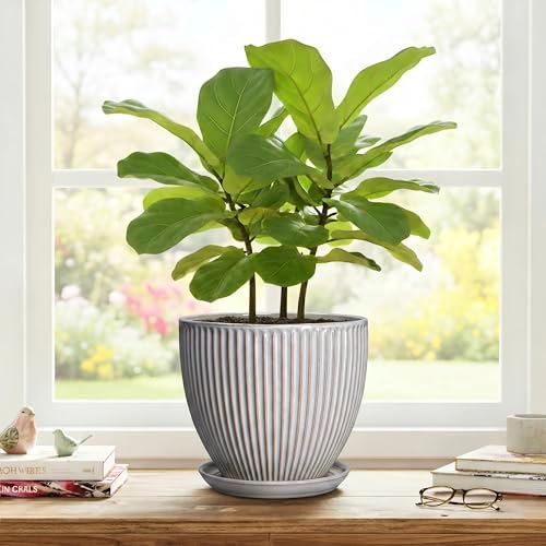 Ceramic Planters for Plants, 8 Inch Flower Pot with Drainage Hole and Saucer, Round Plant Pots for Indoor Plants, Modern Decorative Planter, Home Garden Decor, Gifts for Plant Lovers, Grey - Image 7