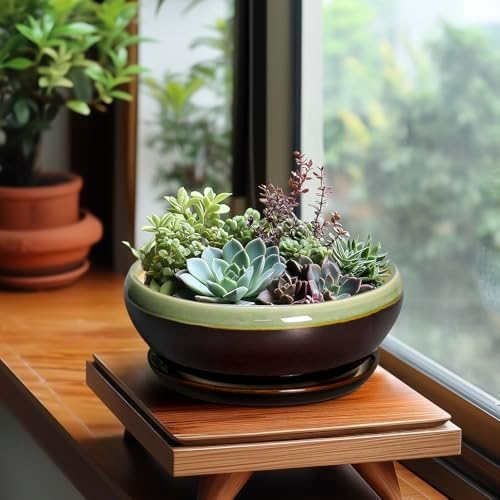 SQOWL Bonsai Pots 8 Inch - Ceramic Succulent Planters with Drainage Hole and Tray, Round Shallow Planter for Indoor Plants, Ceramic Planter Bowl Outdoor, Living Room Decor, Garden Gift, Green-Brown - Image 4