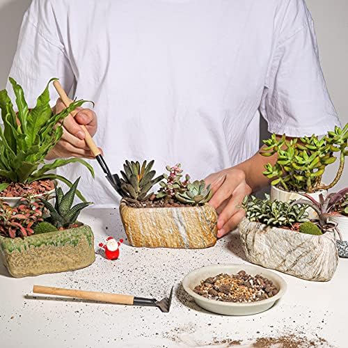 T4U 5.5 Inch Ceramic Succulent Pot Planter with Drainage Hole Set of 3, Stone Shape Rectangle Window Box Cactus Plant Containers Gift for Mom Sister Aunt Best for Home Office Table Desk Decoration - Image 3