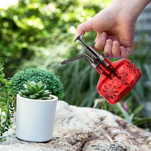 Spray Bottle for Plants, Plant Mister Spray Bottle, Glass Plant Mister Spray Bottle, Embossed Vintage Glass Watering Can, Succulent Watering Bottle with Top Pump for Outdoor (O) - Image 6