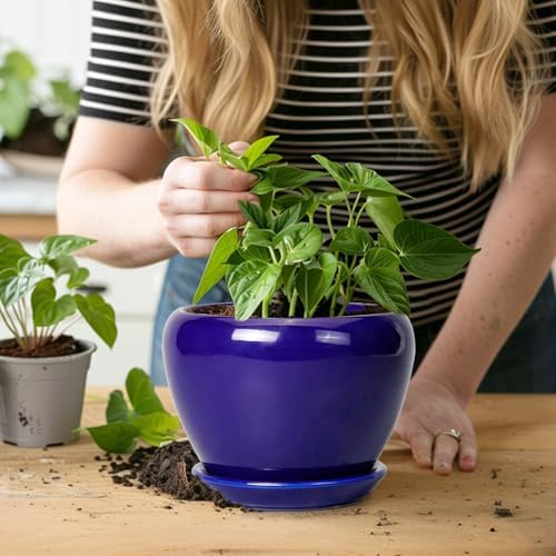 Ceramicfor 6 Inch Plant Pot - Ceramic Pots for Plants Succulent Pot with Drainage Hole and Saucer Round Planter Outdoor Flower Pot for Herb Snake Plants Blue - Image 5