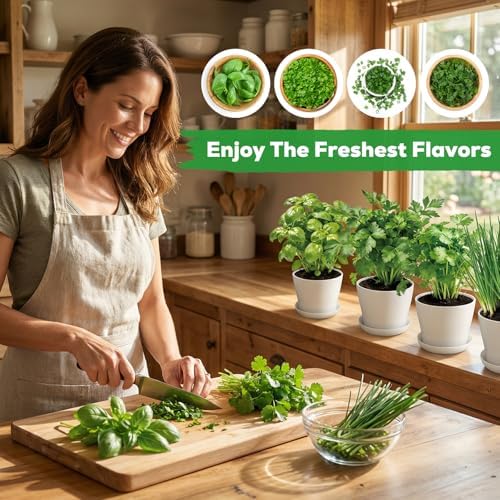 Indoor Herb Garden Starter Kit - Mothers Day Gifts - 4 Non GMO, Heirloom Culinary Herb Seeds, Unique Gardening Gift for Women, Mom, Her, Birthday, Housewarming, Plant Lovers - Image 7
