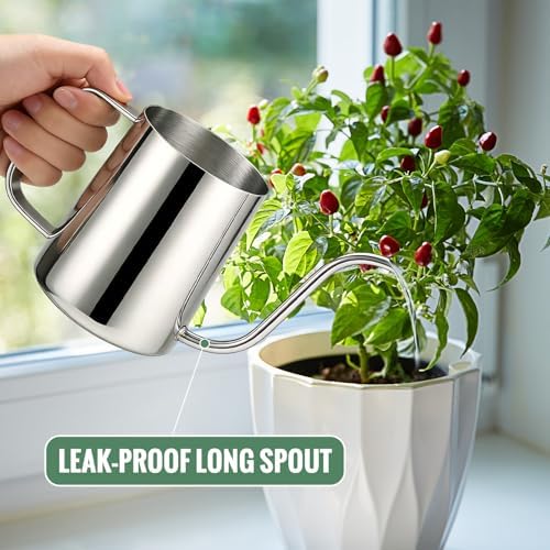 Small Watering Can for Indoor Plants - 20 oz Mini Indoor Watering Can with Long Spout Gooseneck Rust-Proof Stainless Steel Tiny Watering Kettle for Small Plants - Image 4