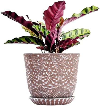 Gepege 8 Inch Ceramic Plant Pot with Drainage & Saucer by Gepege