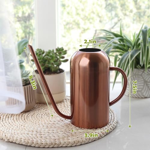 Watering Can Indoor Outdoor Plants, 50oz/1500ml Garden Long Spout Watering Cans, Stainless Steel Plants Watering Can Pot for Indoor House Plants Bonsai Flower Decorative - Image 3