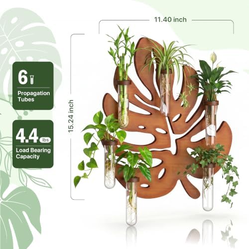 Plant Propagation Station, Monstera Hanging Wall Planter with 6 Glass Tubes - Image 2