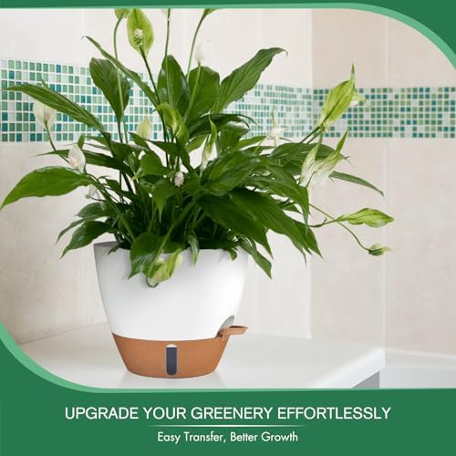 2 Pack 10 inch Self Watering Planters, PP Plastic Plant Pots for Indoor - Image 3