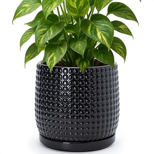 D'vine Dev Beaded Ceramic Pot with Saucer, 8 in, Glossy Black, 27-C-Q-2 by DvineDevPlanterPotsandStand