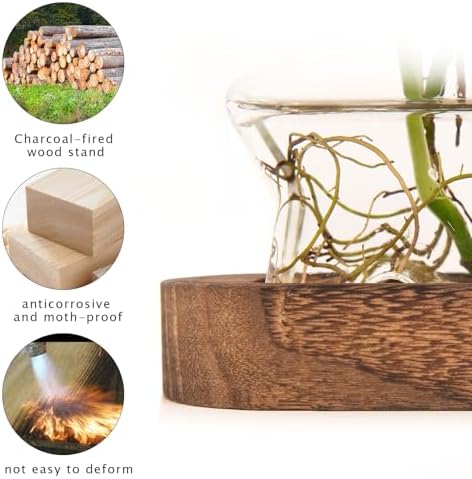 XXXFLOWER Plant Propagation Station with Wooden Stand 3 Star Jars - Image 6