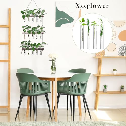 XXXFLOWER Glass Propagation Stations Accessories 4 Tube Vases - Image 5