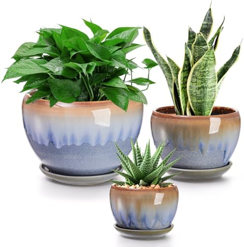 AVLA 3 Pack Ceramic Plant Pots, Gardening Drip Glazed Planters, Decorative Flower Pot with Drainage Hole and Saucer, Round Rustic Houseplant Container for Succulent Herbs Cactus Orchid, Home Office by AVLA