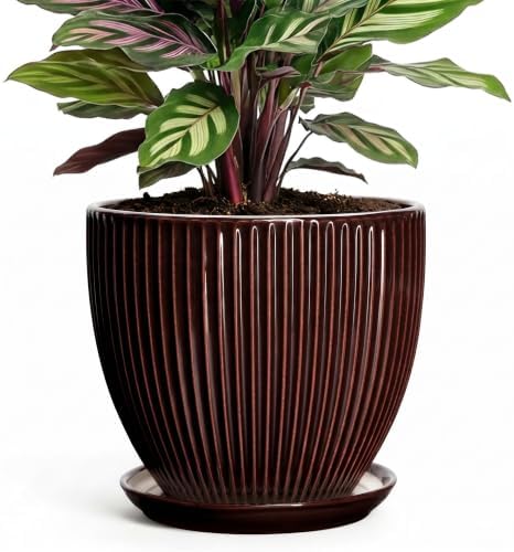 6 Inch Planter, Ceramic Plant Pots Indoor with Drainage Hole and Saucer, Round Flower Orchid Pots for Indoor Plants, Succulent Pot, Small Modern Planter, Bathroom Decor, Brown by Unknown