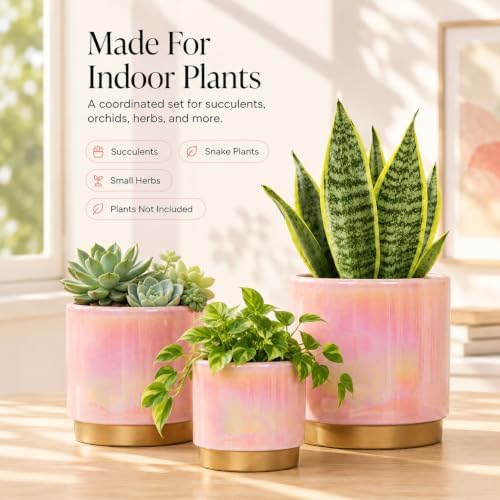 Gepege Ceramic Plant Pots for Indoor Plants, Planters with Drainage Holes - Image 7