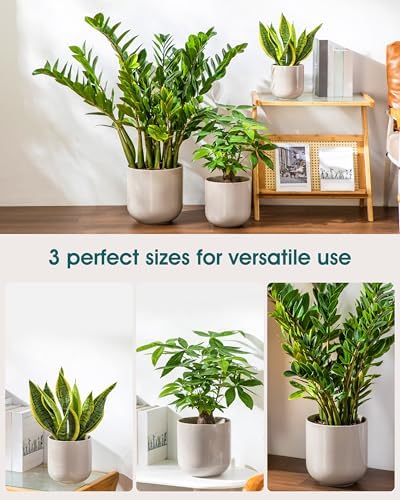 vancasso 6+8+10 inches Ceramic Plant Pots, Set of 3, Planters with Drainage Hole, Flower Pots Planters Pots for Indoor Plants, Modern Indoor Decorative Garden Pot, Home Decor, Gray - Image 5