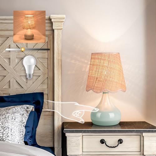 Blue Small Touch Control Table Lamp for Bedroom, Blue Bedside Lamps for Nightstand,Cute Mini Small Table Lamps for Small Spaces with Scalloped Shade for Kitchen Counter,Bookshelf,Living Room by Unknown