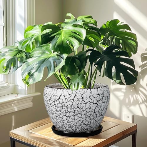Ceramicfor Ceramic Planters for Indoor Plants - 10 Inch Plant Pot with Drainage Hole and Saucer, Large Flower Pot for Home Decor, White/Black - Image 7