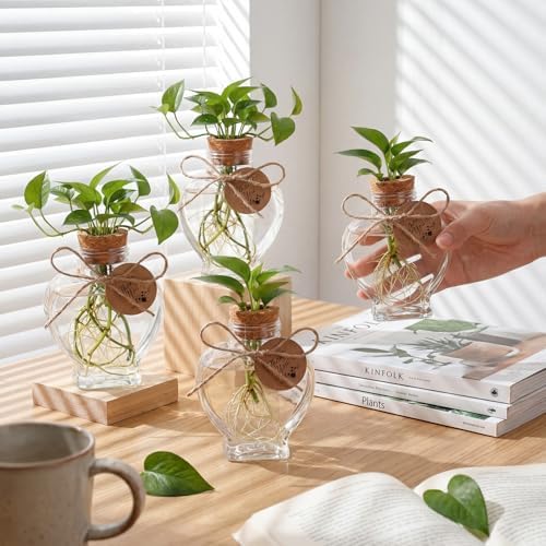 24 Pack 3.74'' Heart Plastic Plant Propagation Stations with Hole Lid - Image 3