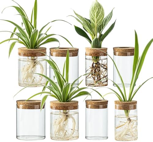 Glass Propagation Stations for Plants -Desktop Flower Vases,Propagation Flower Vases Set – 2 Large & 2 Small for Plant Cuttings，for Living Room, Bedroom Decoration,Home,Office Decor (8) by CHPINDAM