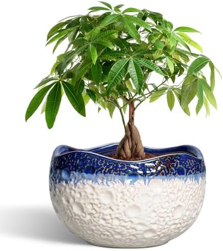Ceramic Flower Pots, 10 Inch Planter with Drainage, Beige-Blue by Thirtypot