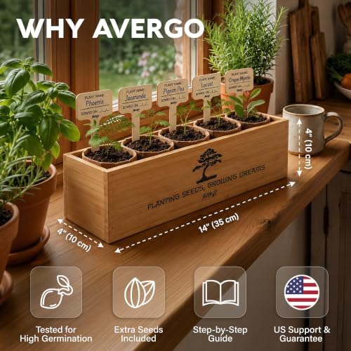 Bonsai Tree Kit Deluxe - Growing 5 Unique Japanese Bonzai Trees - Image 2