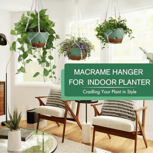 montresor 8/10/12 Inch Self Watering Hanging Planters for Outdoor/Indoor - Image 2