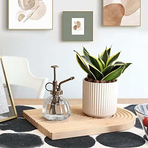 T4U Glass Plant Mister 200ML, Vintage Spray Bottle with Top Pump Fine Mist Flower Garden Sprayer Small Decorative Spritzer Watering Can Gift for Indoor Outdoor Succulent House Plant (Clear) - Image 5