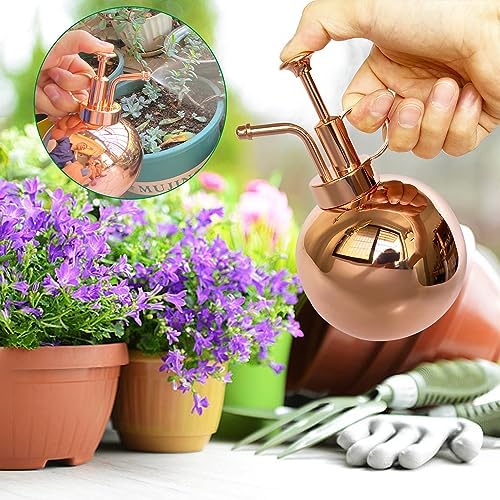 Stainless Steel Plant Sprayer, Small Watering Can Plant Misting Bottle, Modern Gardening Tools for Indoor Potted Plants Watering and Misting - Image 5