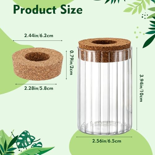 6 Set Propagation Station Jar Desktop Glass Planter Station Flower Vases Water Terrarium Jar with Cork Lid for Propagating Flower Plants Centerpiece Office Home Garden Decor (Small) - Image 2