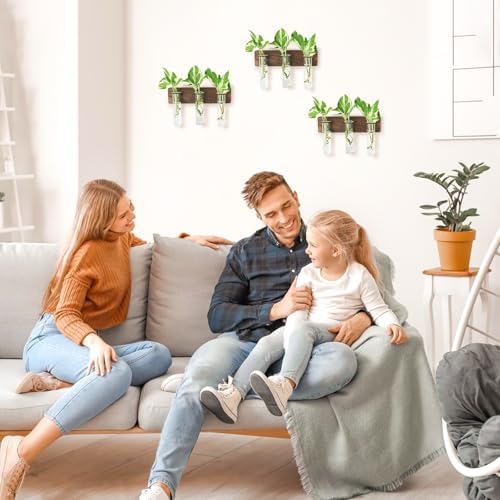 XXXFLOWER Wall Mounted Plant Terrarium with Wooden Stand 3 PCS - Image 4