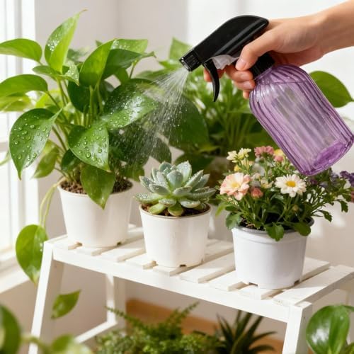 Glass Plant Mister Spray Bottle 15oz Purple Adjustable Nozzle for Gardening - Image 2