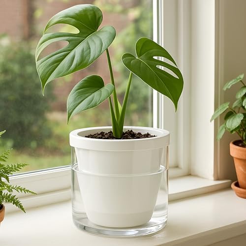 D'vine Dev Self-Watering White Terracotta Planter, 6 in, 2-Pack, 37-Y-B-2 - Image 2