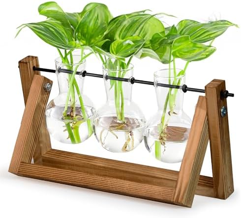Glass Propagation Station with Wooden Stand – 3 Bulb Vase Plant Terrarium for Home & Office | Ideal Christmas, New Year & Birthday Gift for Plant Lovers, Moms | Hydroponic Desktop Planter Set by GardenGenius