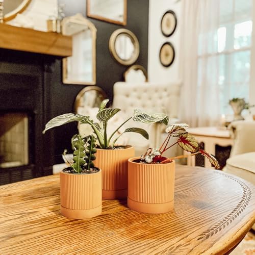 HERDUK Modern Terra Cotta Pots, 6 Inch 5.1 Inch 4 Inch Ribbed Textured Clay Planter Set with Drainage Holes & Saucers, Garden Pots for Indoor/Ourdoor Plants Succulent, Cactus & Herb - Image 4