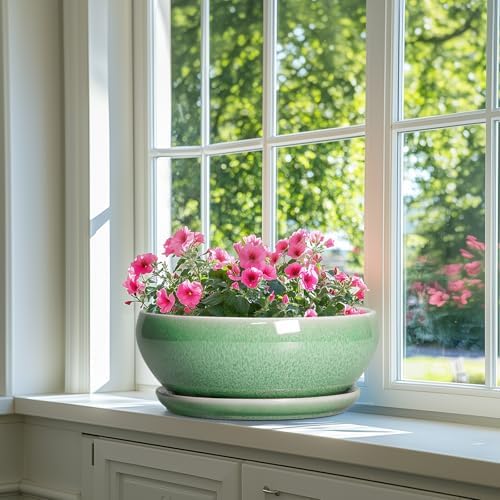 SQOWL Succulent Planter 12 Inch, Ceramic Bonsai Pots with Saucer, Green - Image 6