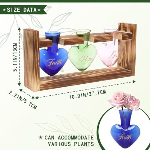 Plant Terrarium Propagation Stations Hydroponics - Image 4
