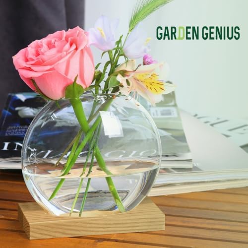 Single Glass Propagation Station with Wooden Base – Hydroponic Plant Terrarium for Home & Office | Ideal Christmas, New Year & Birthday Gift for Plant Lovers, Moms | Desktop Windowsill Planter Vase - Image 2